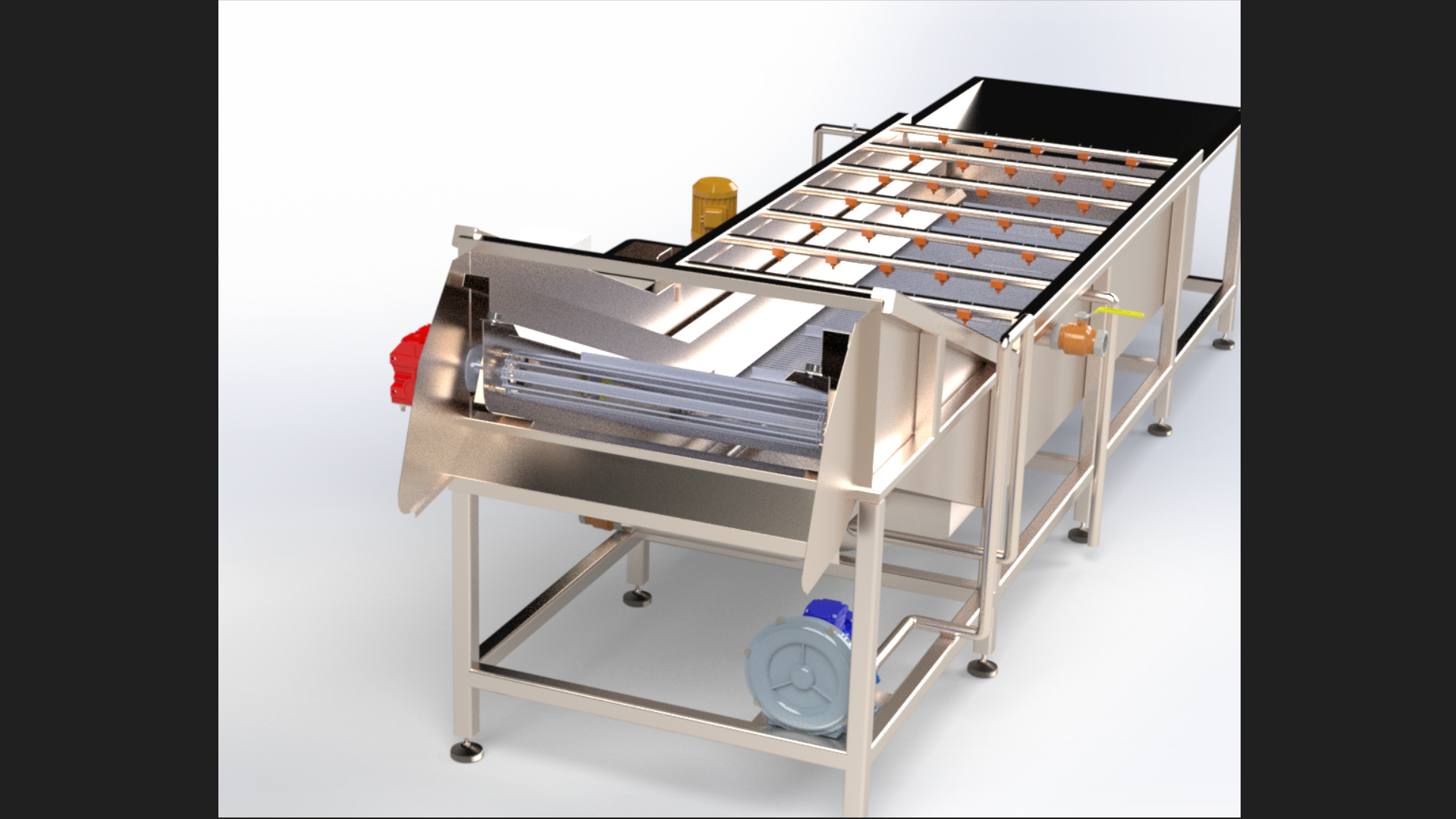 食堂全自动蔬菜水果苹果清洗机洗菜机